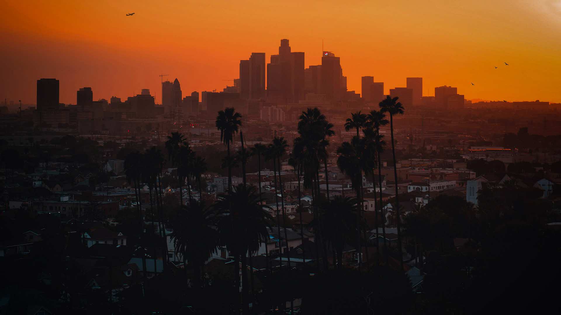 Socal Grilling Work Web Header Socal Grilling Work Web Header